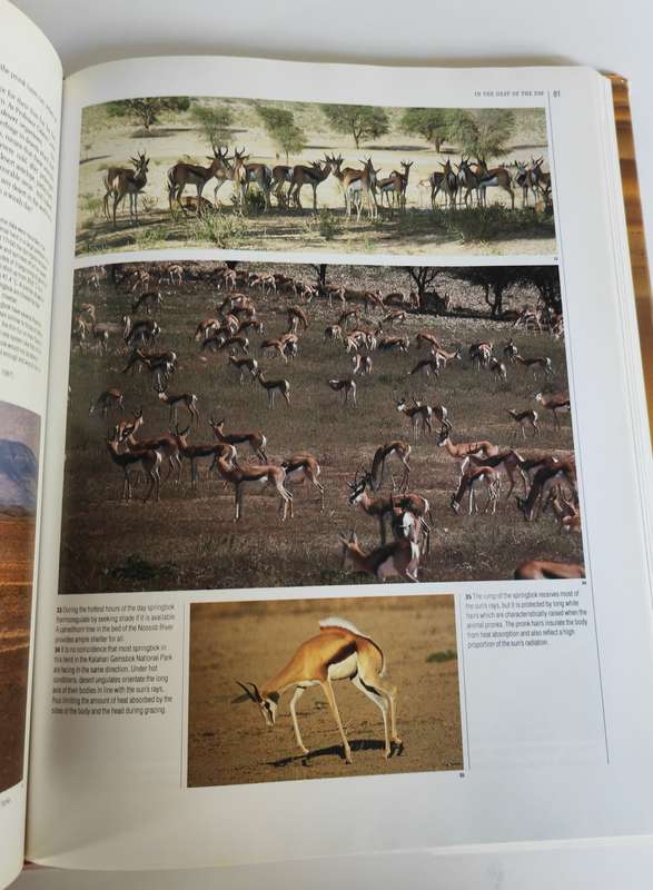 The Living Deserts of Southern Africa by Barry Lovegrove