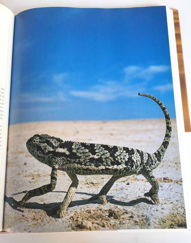 The Living Deserts of Southern Africa by Barry Lovegrove