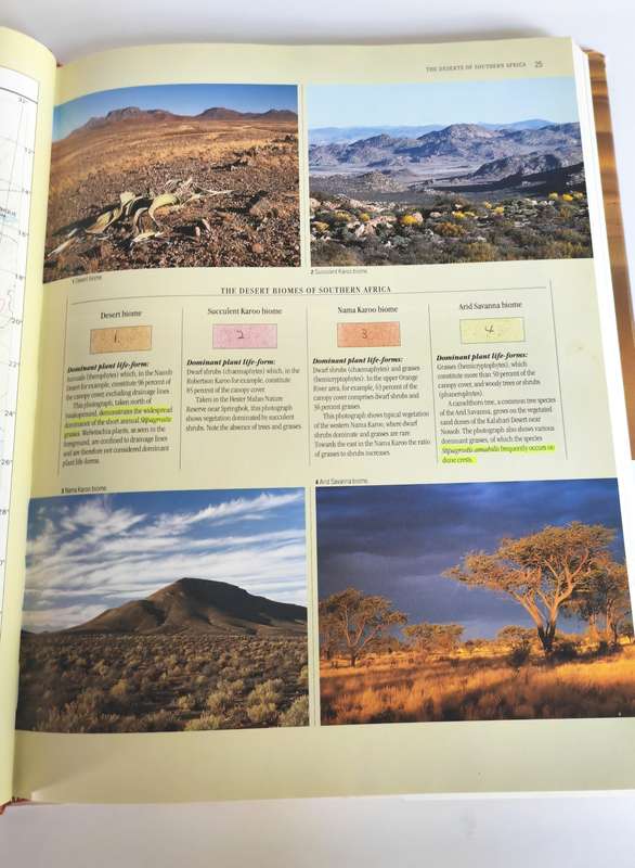 The Living Deserts of Southern Africa by Barry Lovegrove