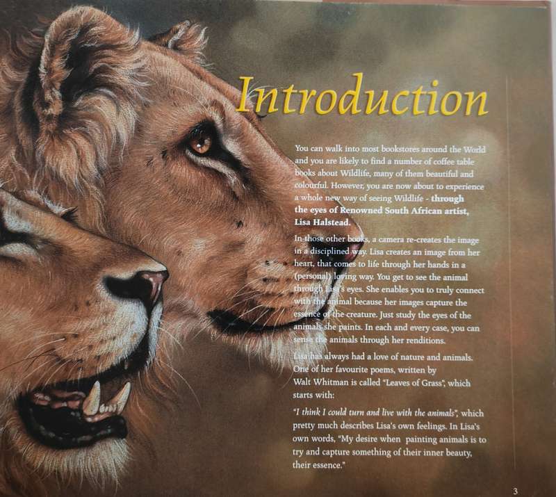 Out of the Meek, comes the Wild: Lisa Halstead Wildlife Artist by D.E. Wien