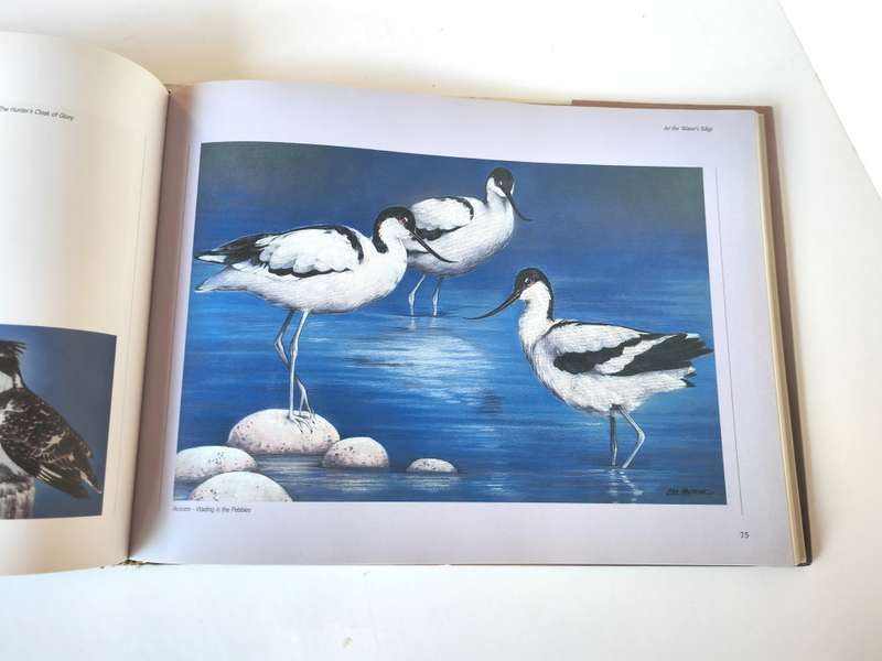 Out of the Meek, comes the Wild: Lisa Halstead Wildlife Artist by D.E. Wien