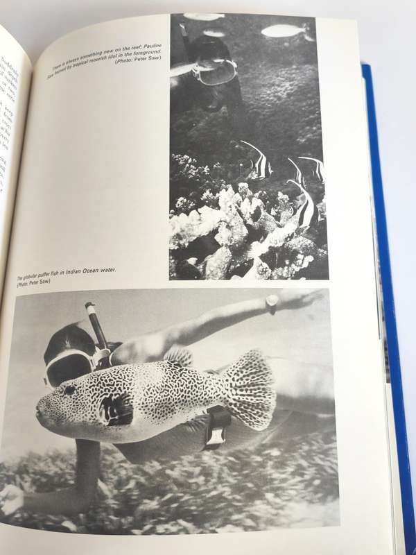Underwater Africa by AL J Venter