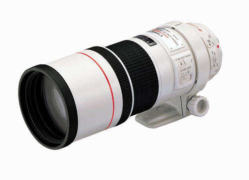 Canon ZOOM LENS EF 300mm f/4 L IS USM  Lens