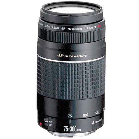 Canon Zoom Lens EF ** 75-300MM III USM UltraSonic