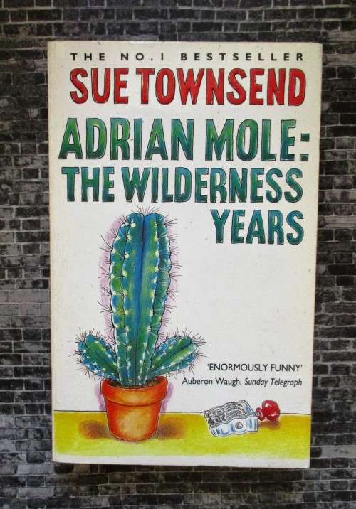 Adrian Mole: The Wilderness Years (Adrian Mole #4) by Sue Townsend