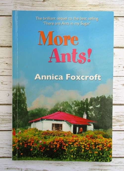 More Ants by Annica Foxcroft
