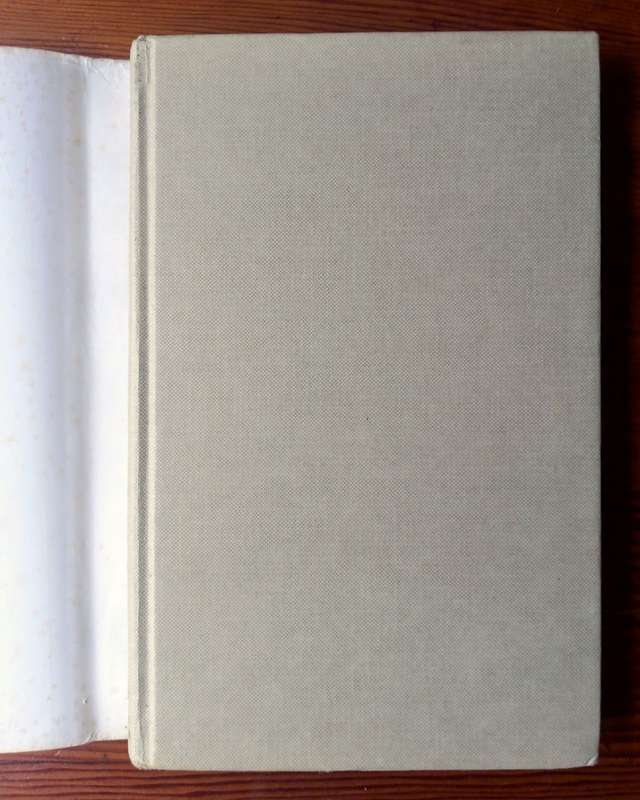 Her Story by Dan Jacobson