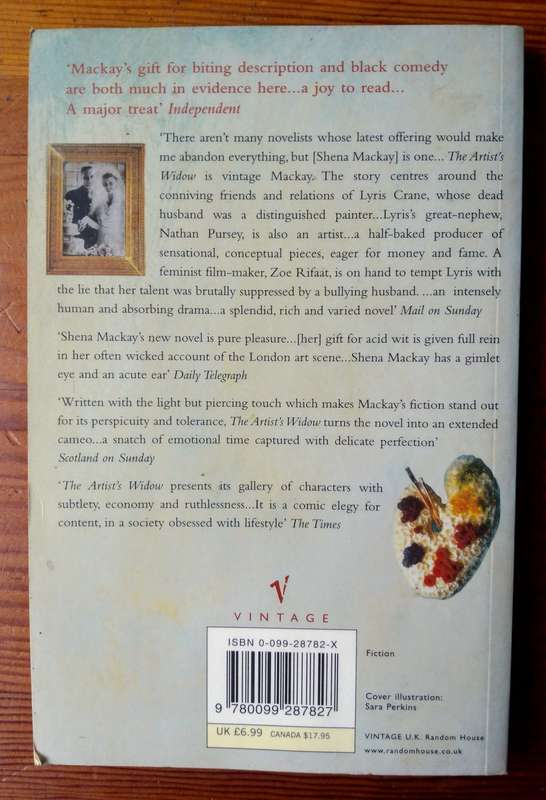 The Artist`s Widow by Shena Mackay