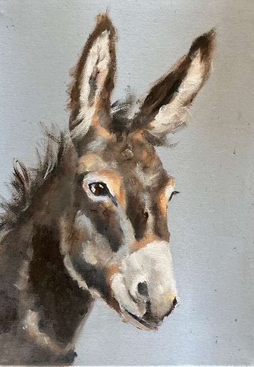Donkey