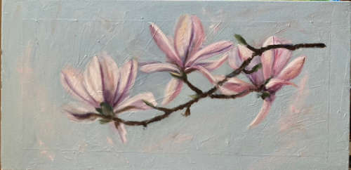 Magnolia spring