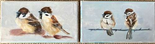 Sparrow duo