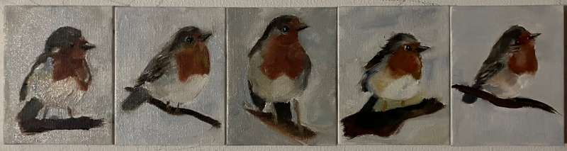 Robin miniatures