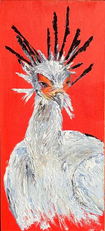 Secretary Bird
