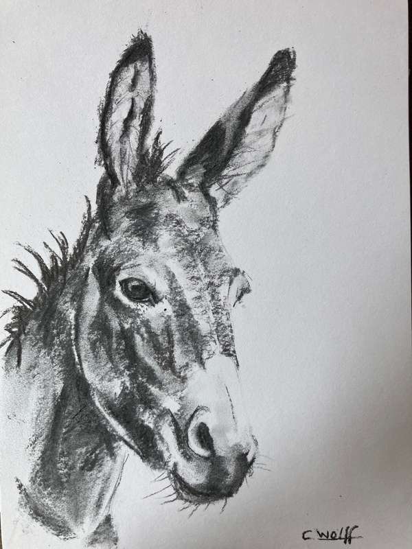 Charcoal donkey