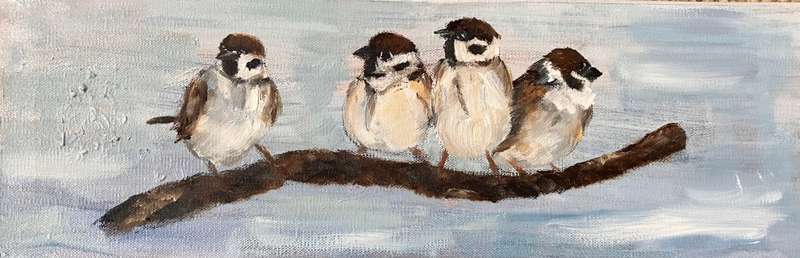 Sparrows