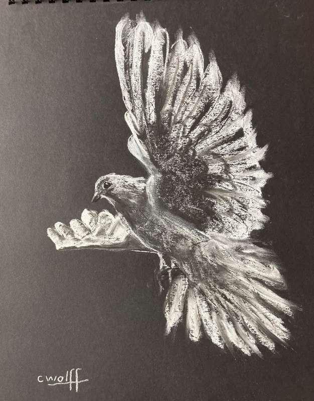 Dove