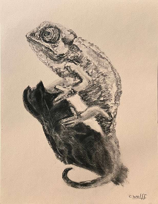 Chameleon