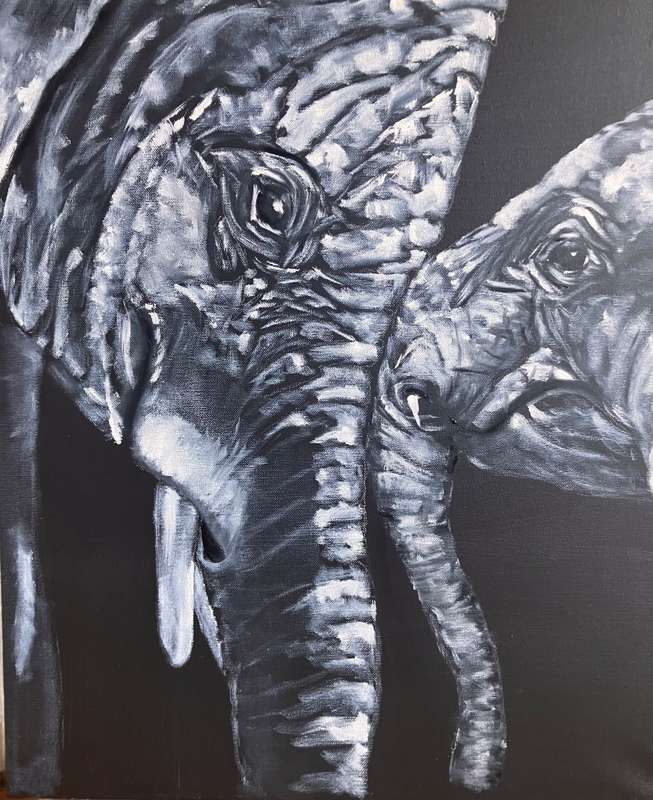 Elephants