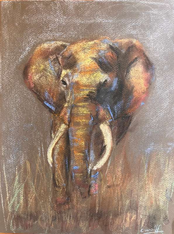 Elephant blue