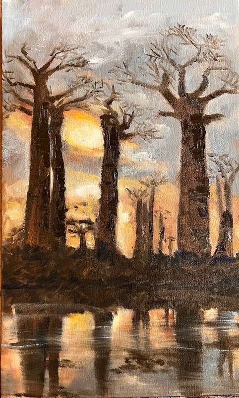 Baobab reflections