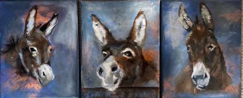 Donkeys