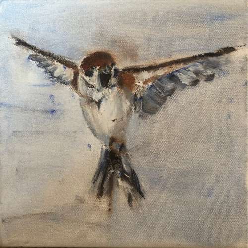 Sparrow 3