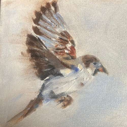 Sparrow 2
