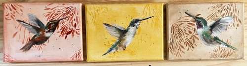 Humming Birds