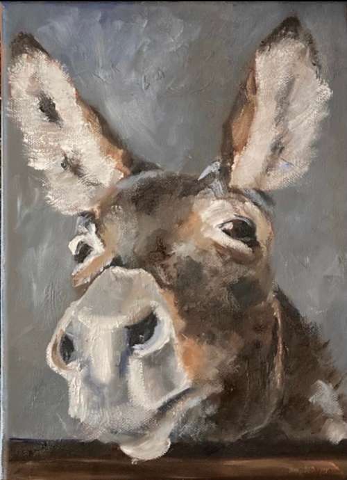 Donkey