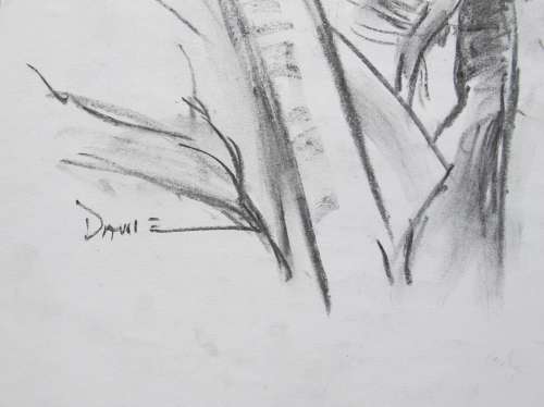 PREPARATION SKETCHES BY DANIE CRONJE