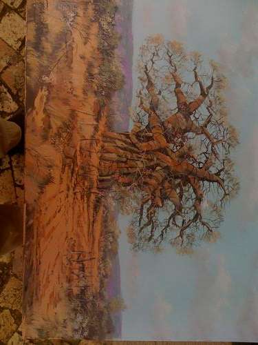 F Badenhorst size 610 x 455 BOABAB