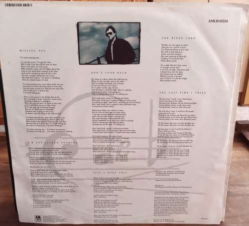 Chris De Burgh - Flying colours LP vinyl record.