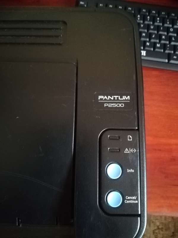 Pantum P2500 Mono Laser Single Function Printer.