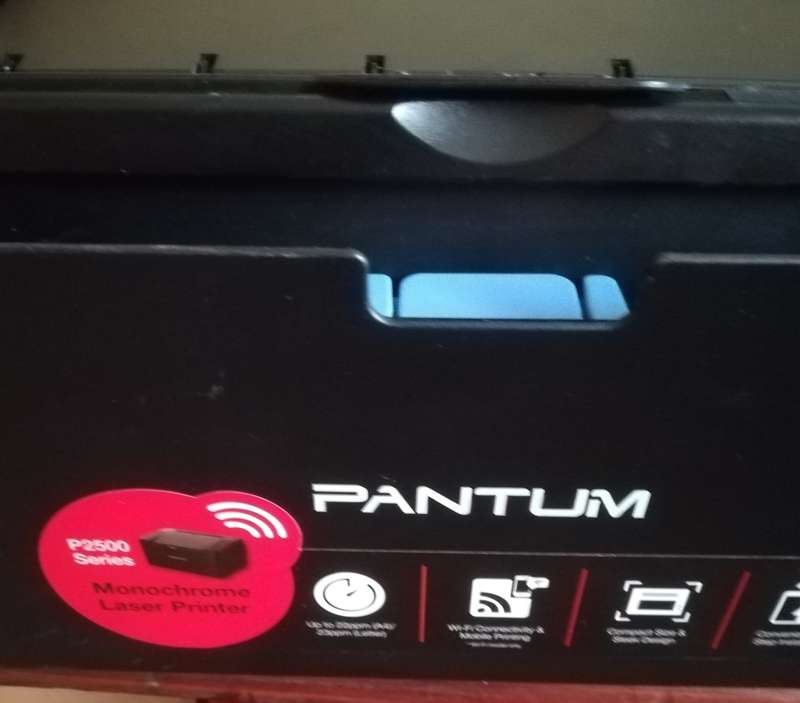 Pantum P2500 Mono Laser Single Function Printer.