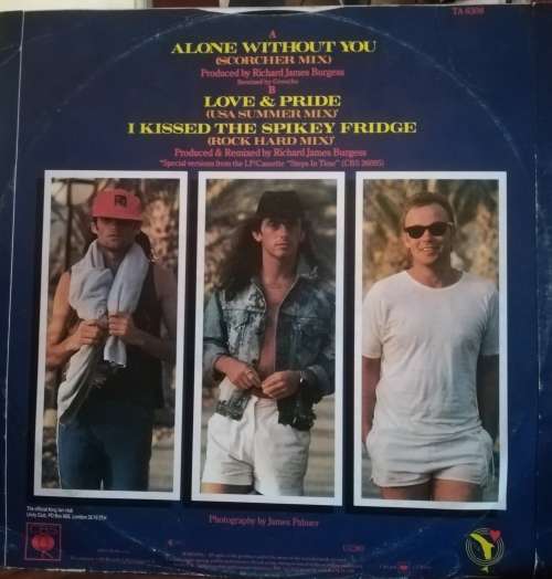 KING VINYL RECORD