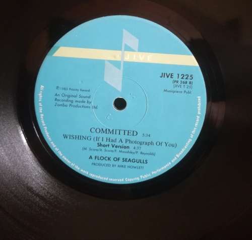 COMMITTED 12` DISCO SINGLE LP VINYL RECORD