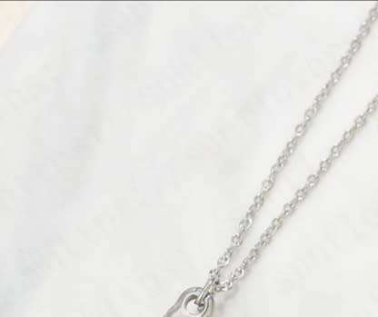 Stainless steel sea shell necklace