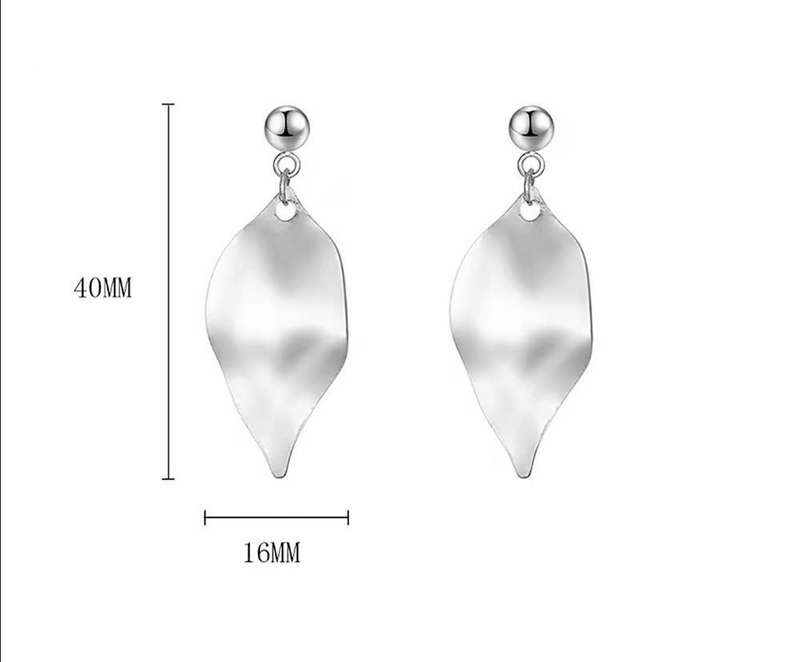 Titanium Steel Drop Earrings
