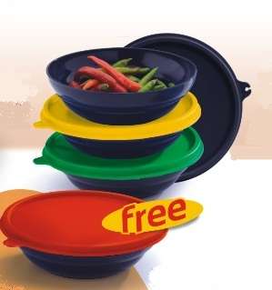 Tupperware's LIFETIME GUARANTEE Legacy Bowls ( 480ml x 4 )