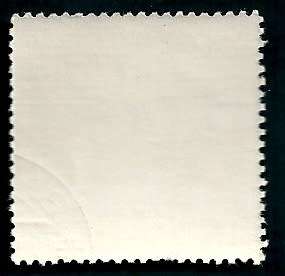 INDONESIA HAIRY TRITON - CYMATIUM PILEARE - 1969