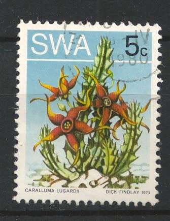 Siud Wes Afrika - South West Africa     1973 Succulents 5c