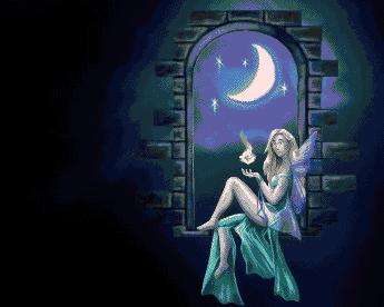 PT027 Moonlight magic 350 x 280