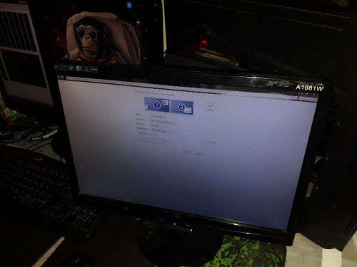 19 inch widescreen monitor A1981W