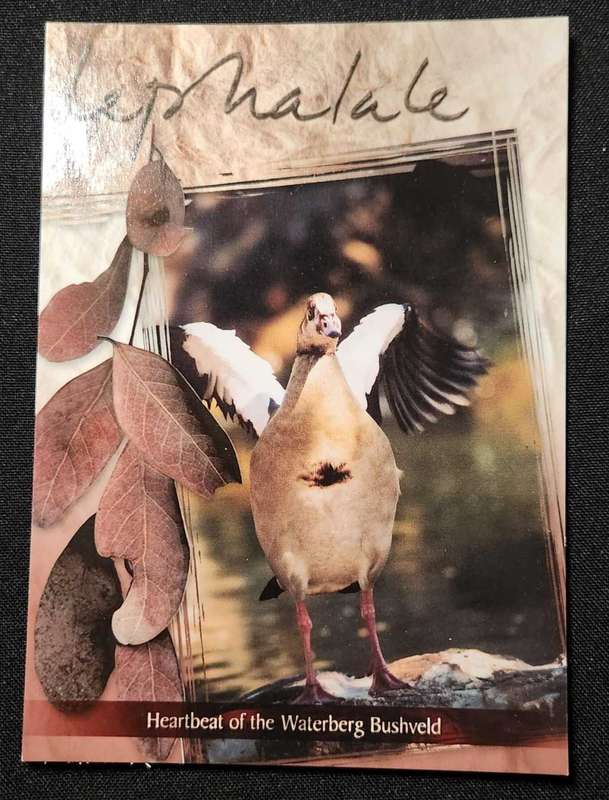 Post Card Not used