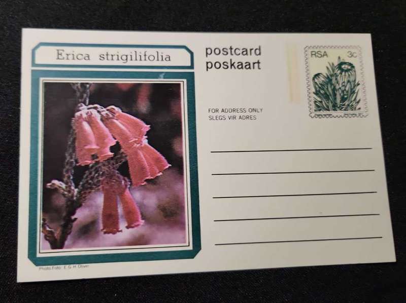 Post Card Pre-Paid Post Card