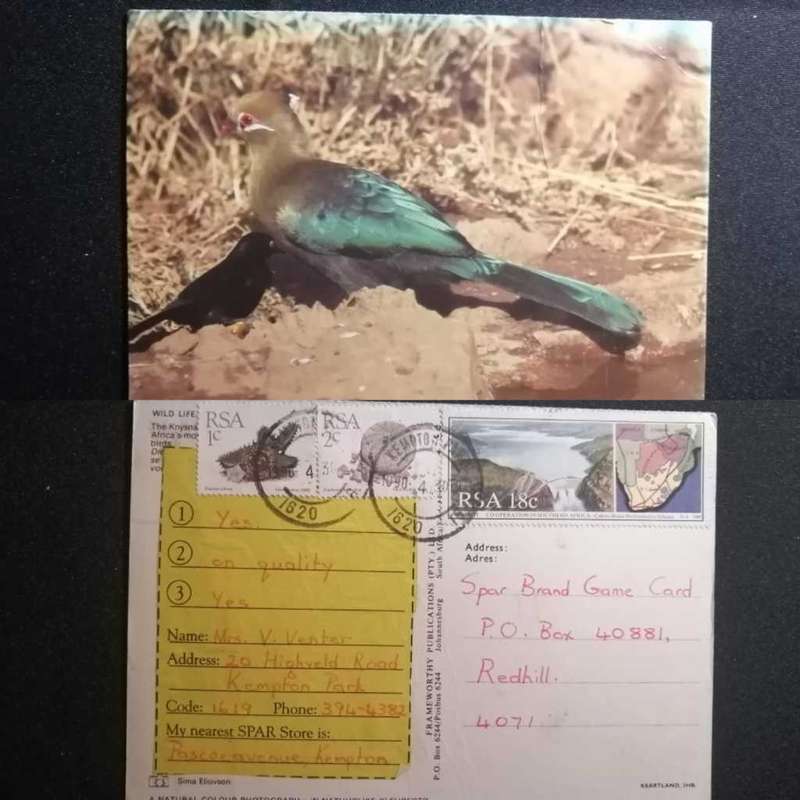 Post Card Used Postcard With postal History
