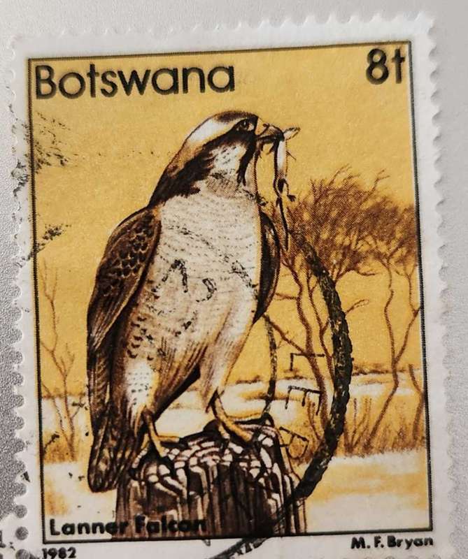 Stamp Botswana 1982 Birds