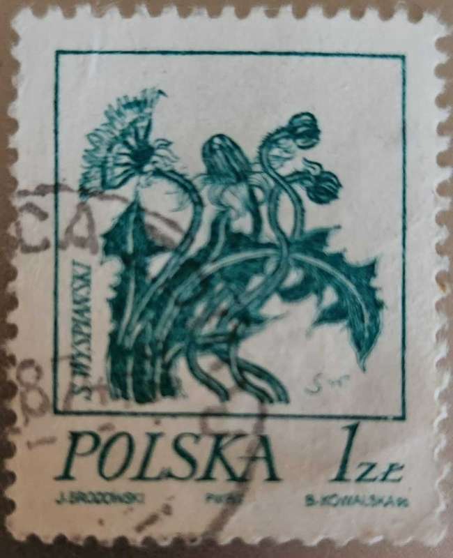Stamp Poland 1974 Flower Drawings by Stanislaw Wyspianski