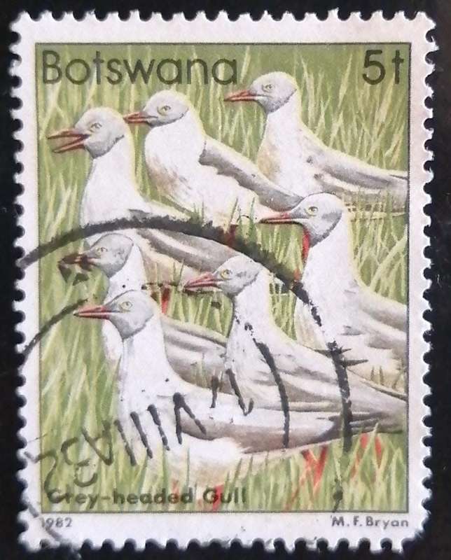 Stamp Botswana 1982 Birds
