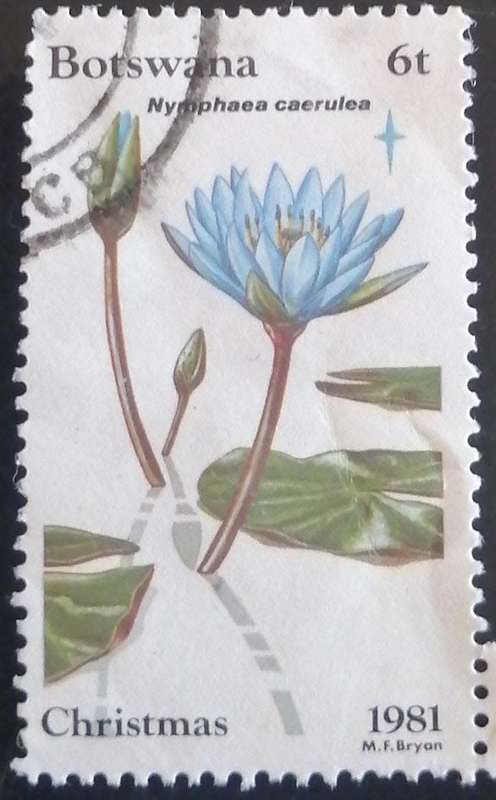 Stamp Botswana 1981 Christmas - Flowers